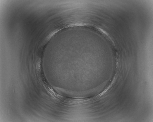 X0000064721161200602131217