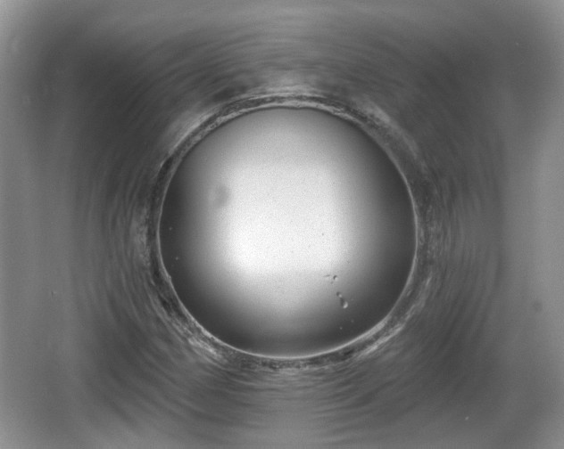 X0000064721162200602131217