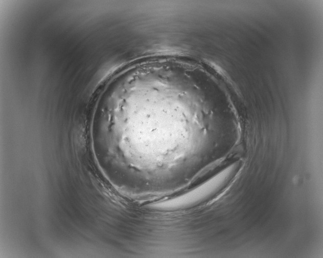 X0000064721163200602131217