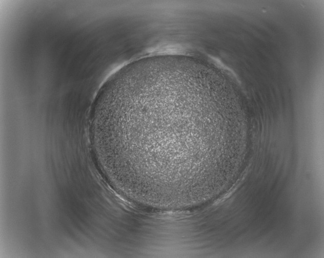 X0000064721166200602131217