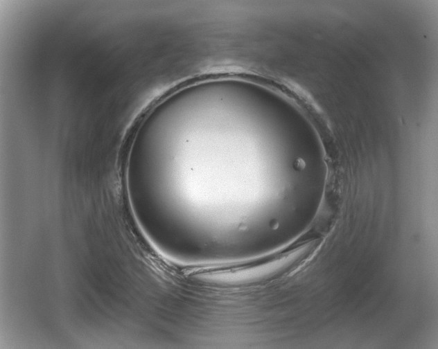 X0000064721167200602131217