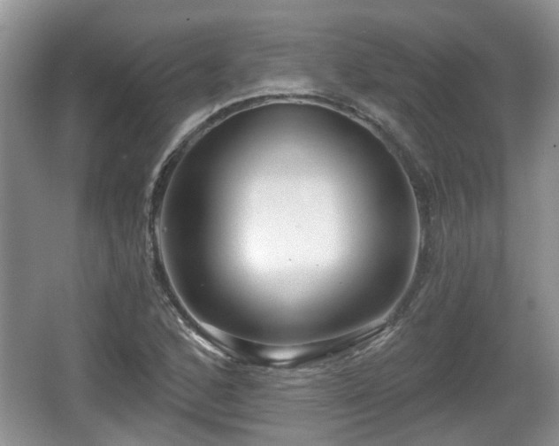 X0000064721168200602131217