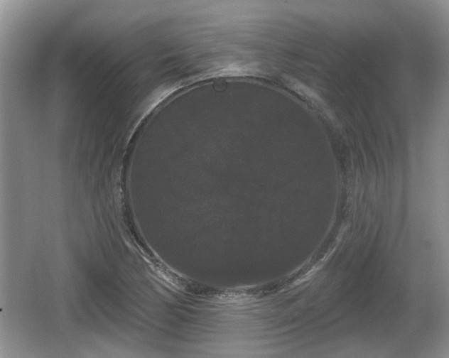 X0000064721170200602131217