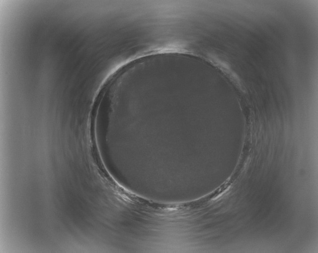 X0000064721174200602131216