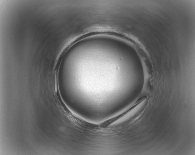 X0000064721175200602131216