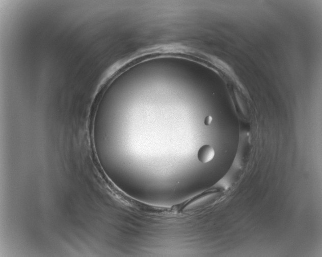 X0000064721176200602131216