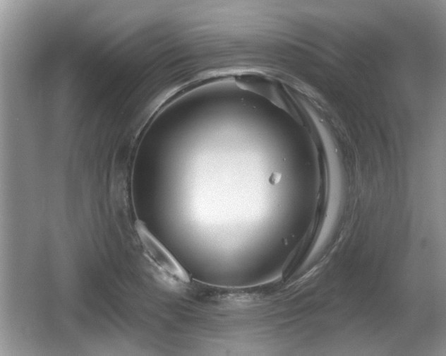 X0000064721177200602131216