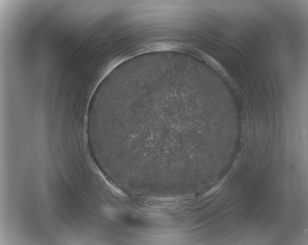 X0000064721178200602131216