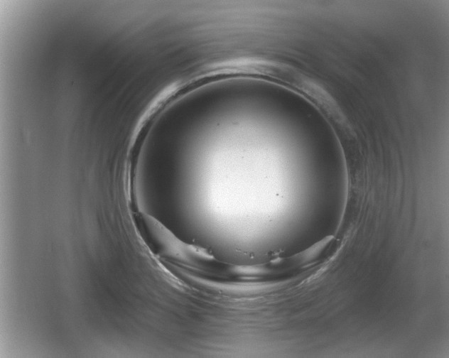 X0000064721180200602131216