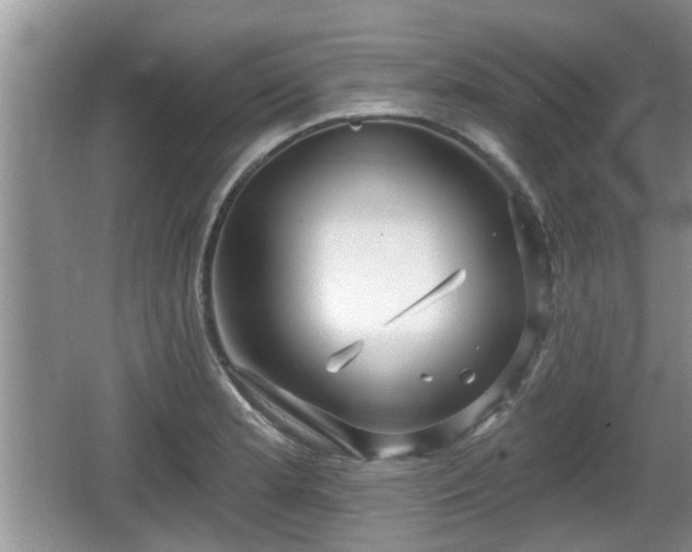 X0000064721181200602131216