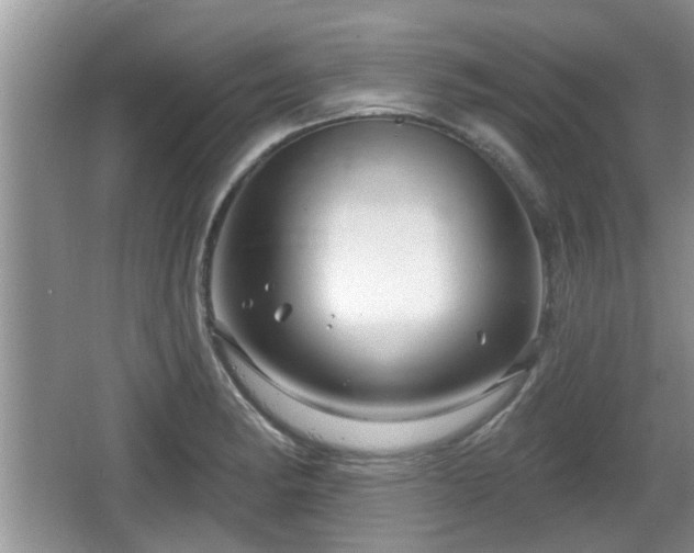 X0000064721182200602131216