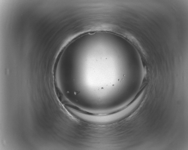 X0000064721184200602131216