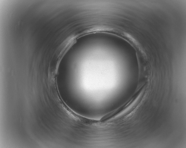 X0000064721185200602131216