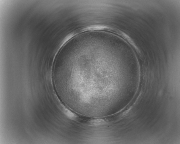 X0000064721186200602131216