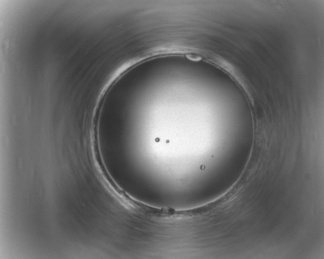 X0000064721187200602131216