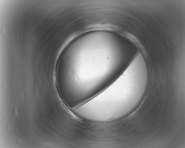 X0000064721188200602131216