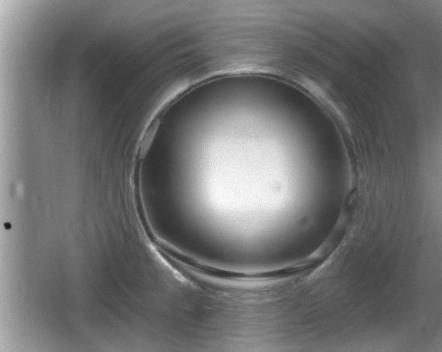 X0000064721189200602131216