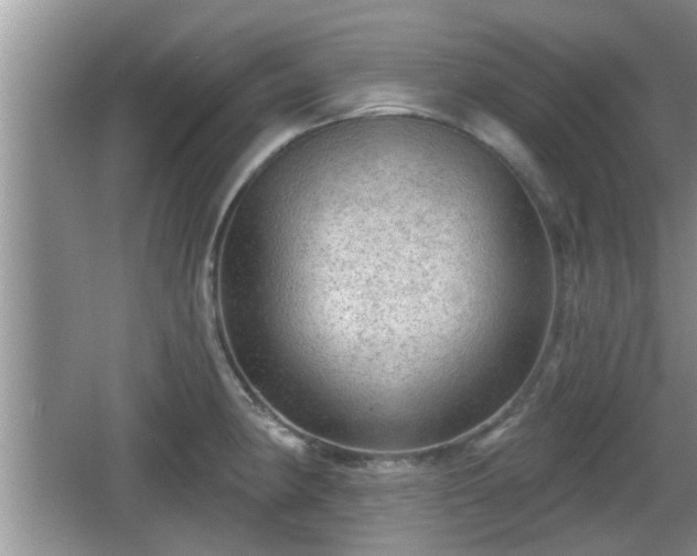 X0000064721190200602131216