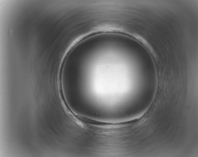 X0000064721191200602131216