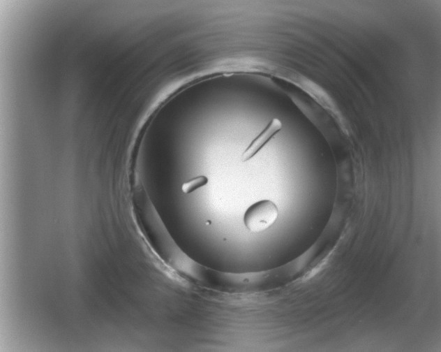 X0000064721192200602131216