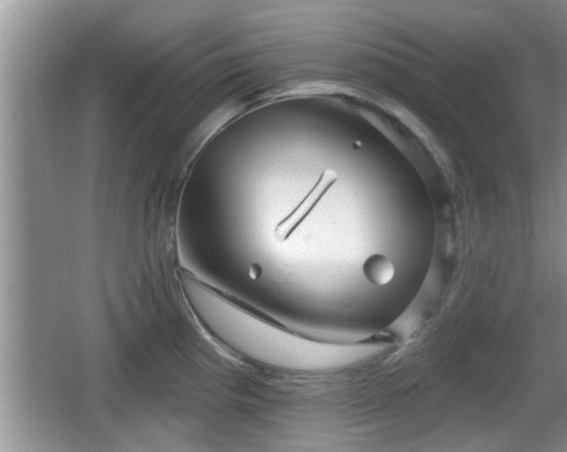 X0000064721193200602131216