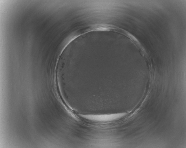 X0000064721194200602131216