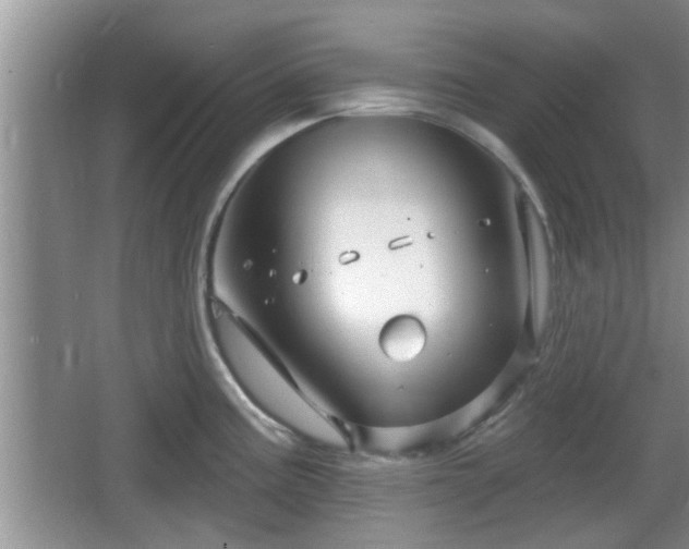 X0000064721195200602131216