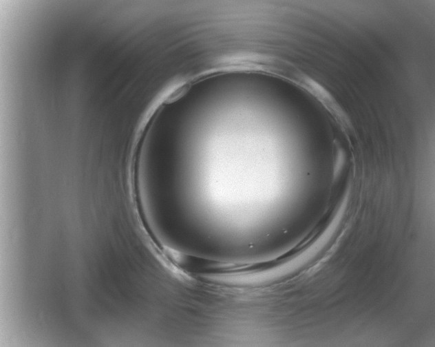 X0000064721196200602131216