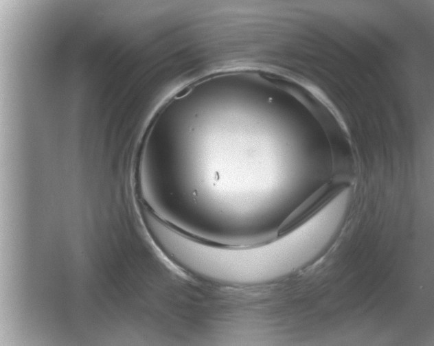 X0000064721197200602131216