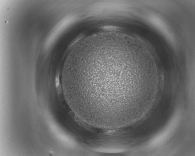 X0000064721198200602131216