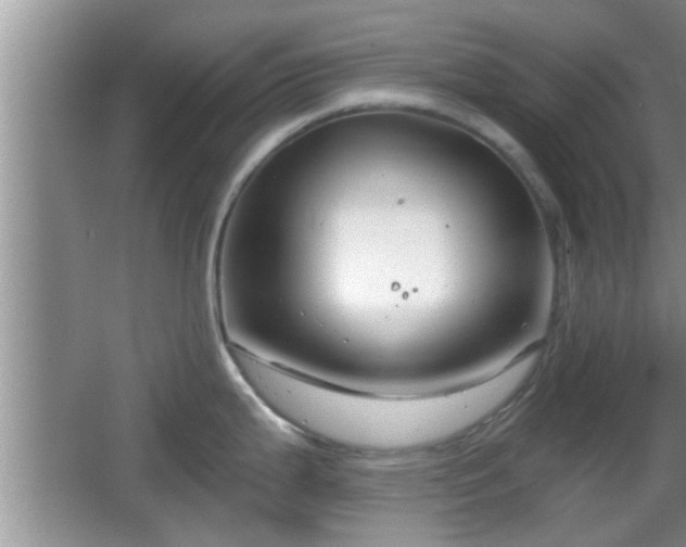 X0000064721199200602131216