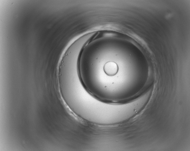 X0000064721200200602131216