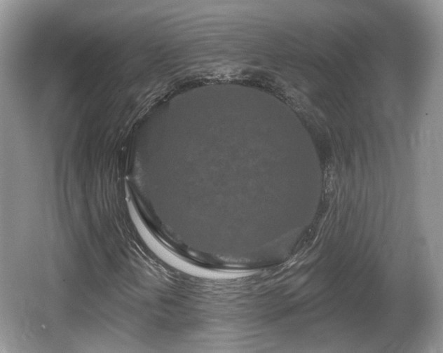 X0000064721202200602131215