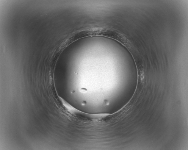 X0000064721204200602131215