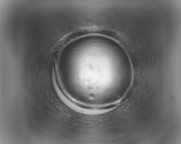 X0000064721205200602131215