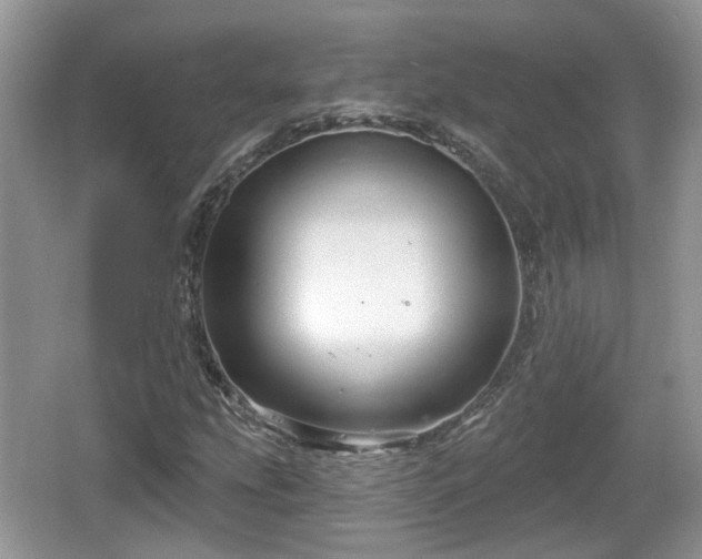 X0000064721207200602131215