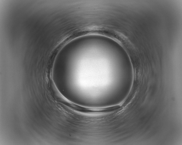 X0000064721209200602131215