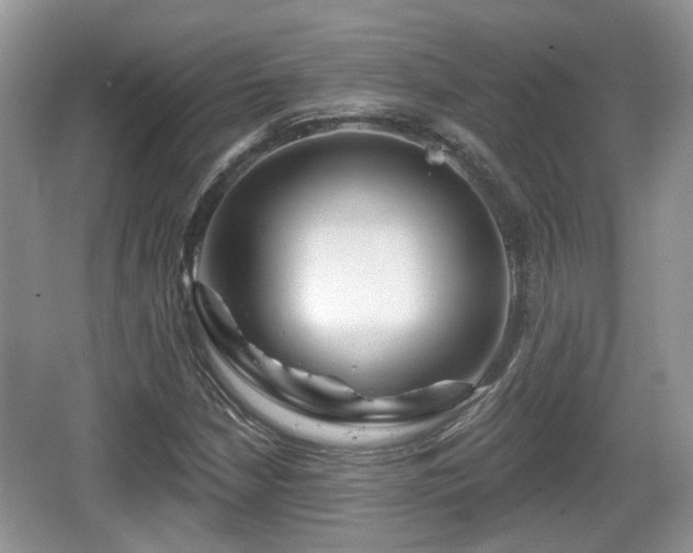 X0000064721210200602131215