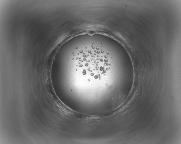 X0000064721211200602131215