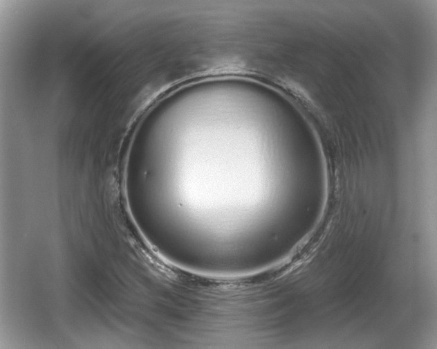 X0000064721212200602131215