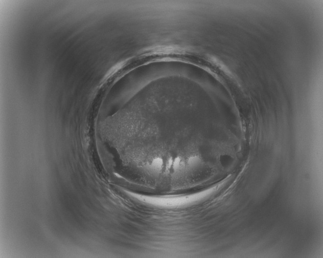 X0000064721213200602131215