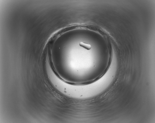 X0000064721214200602131215