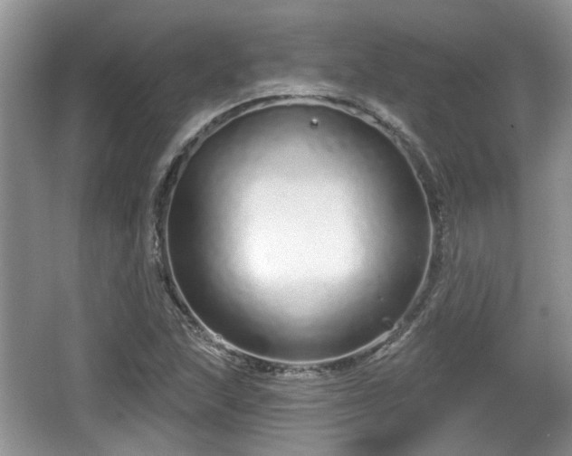 X0000064721215200602131215