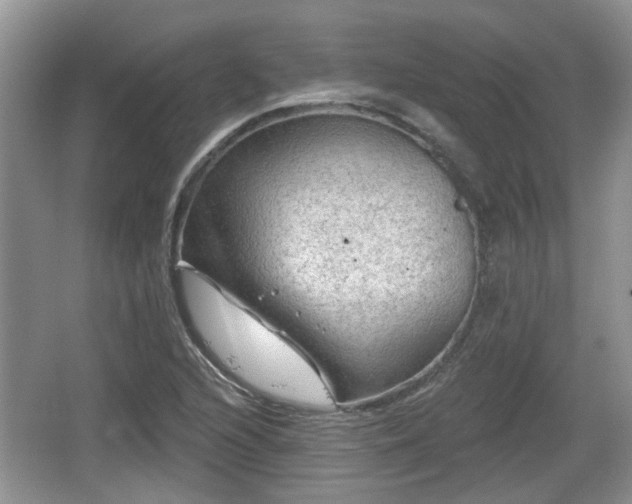 X0000064721216200602131215