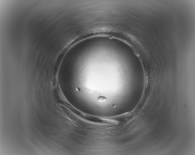 X0000064721217200602131216