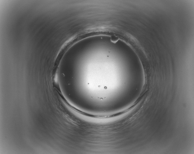 X0000064721218200602131216