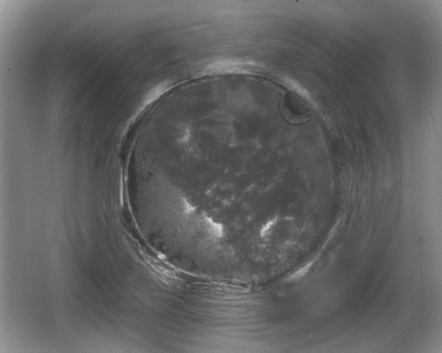 X0000064721219200602131216