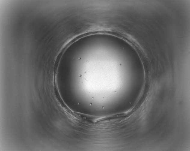 X0000064721220200602131216