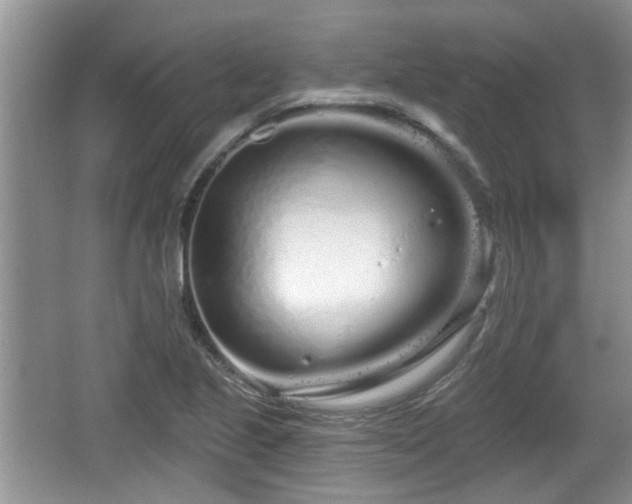 X0000064721221200602131216