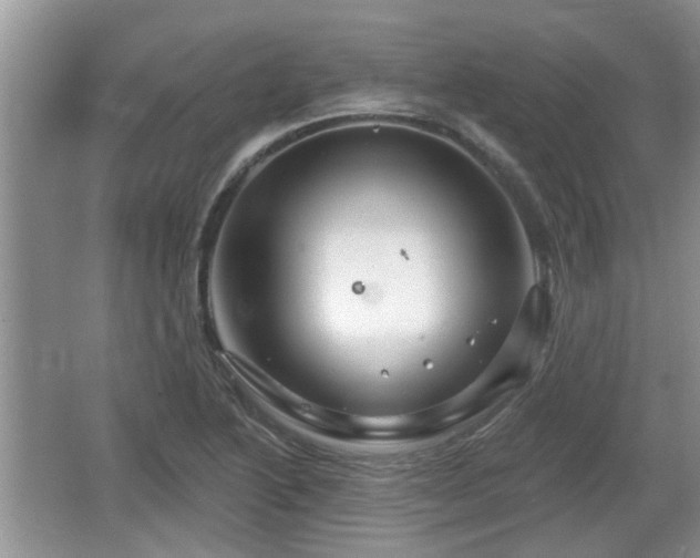 X0000064721222200602131216